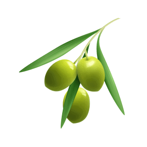 Olive oil