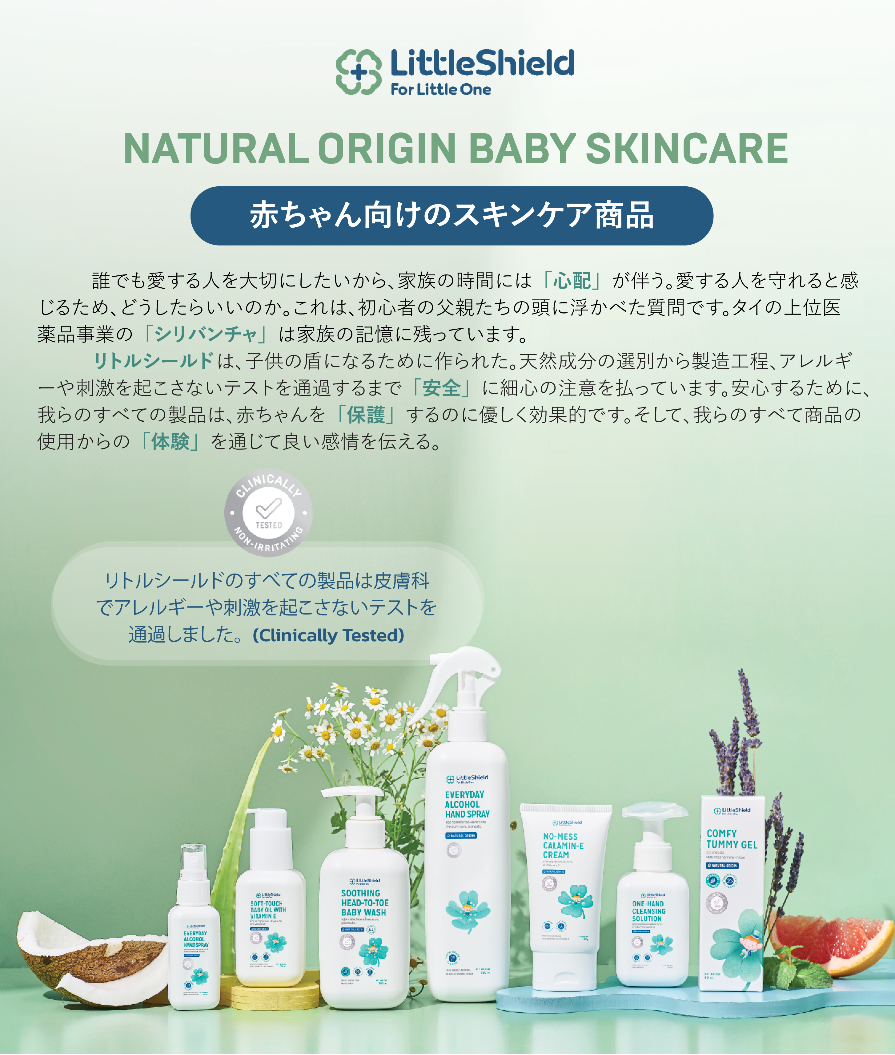 Little Shield Brochure_Japanese_02